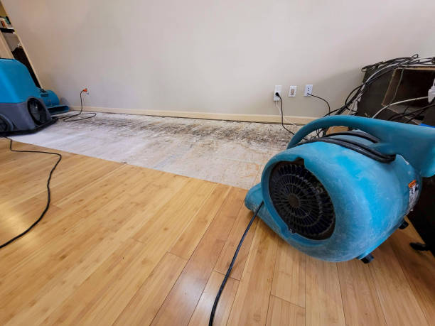 Professional Ceiling Water Damage Repair technician working in Isanti, MN